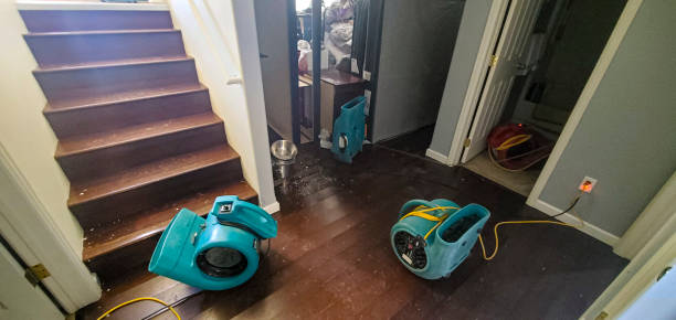 Best Commercial water damage restoration  in Mound Bayou, MS