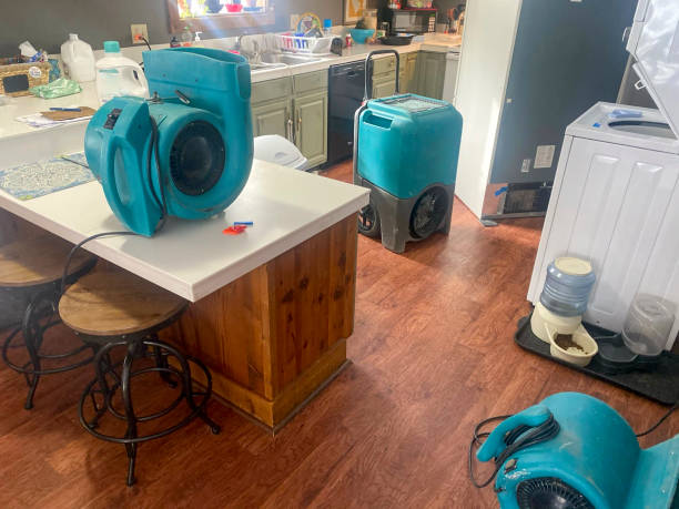 Best Water damage cleanup near me  in Mound Bayou, MS