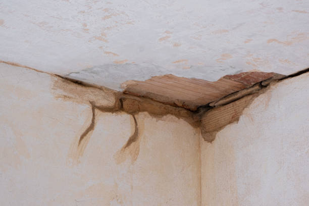 Best Mold removal after water damage  in Mound Bayou, MS