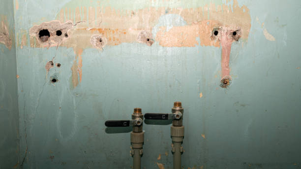Carpet water damage restoration in Mound Bayou, MS