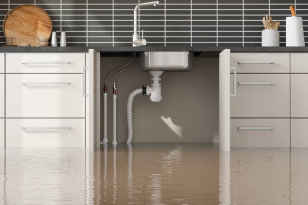 Best 24-hour water damage restoration  in Mound Bayou, MS